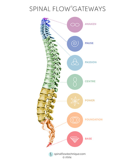 colorful illustration of a spine depicting spinal flow gateways labeled awaken pause passion centre power foundation base representing healing and wellness principles related to the number 11