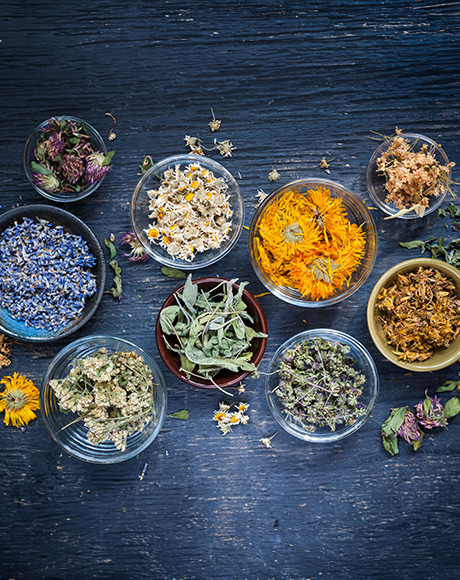 selection of dried loose herbs in Evesham and Worcestershire